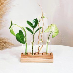 Wermut Propagation Station Display